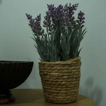 Gracinda Venkovský dům *