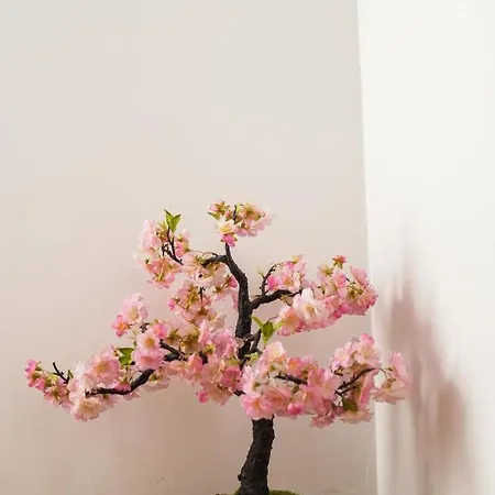 Venkovský dům Gracinda